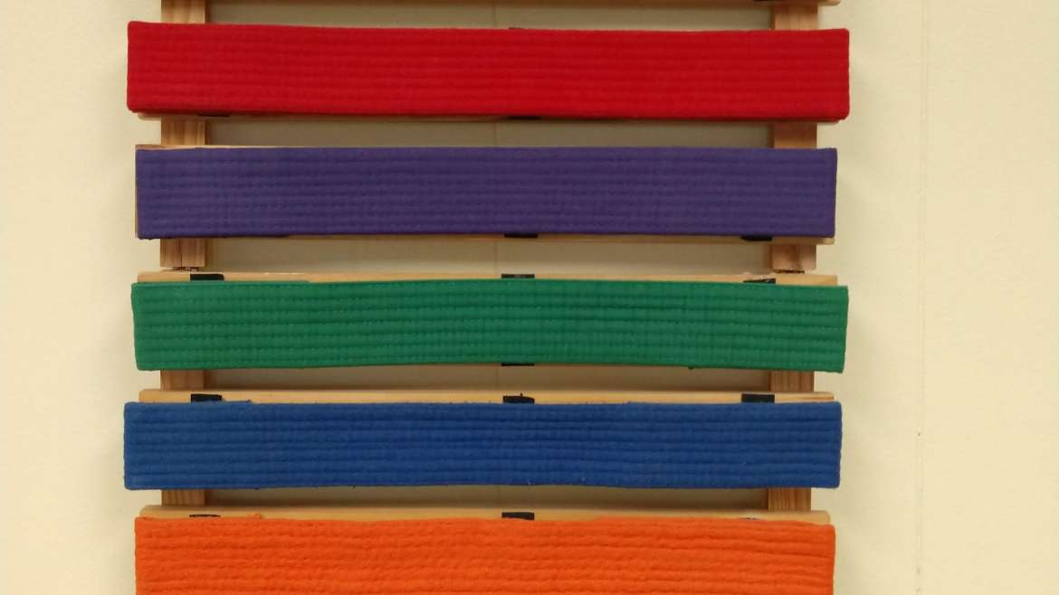 karate belts in order